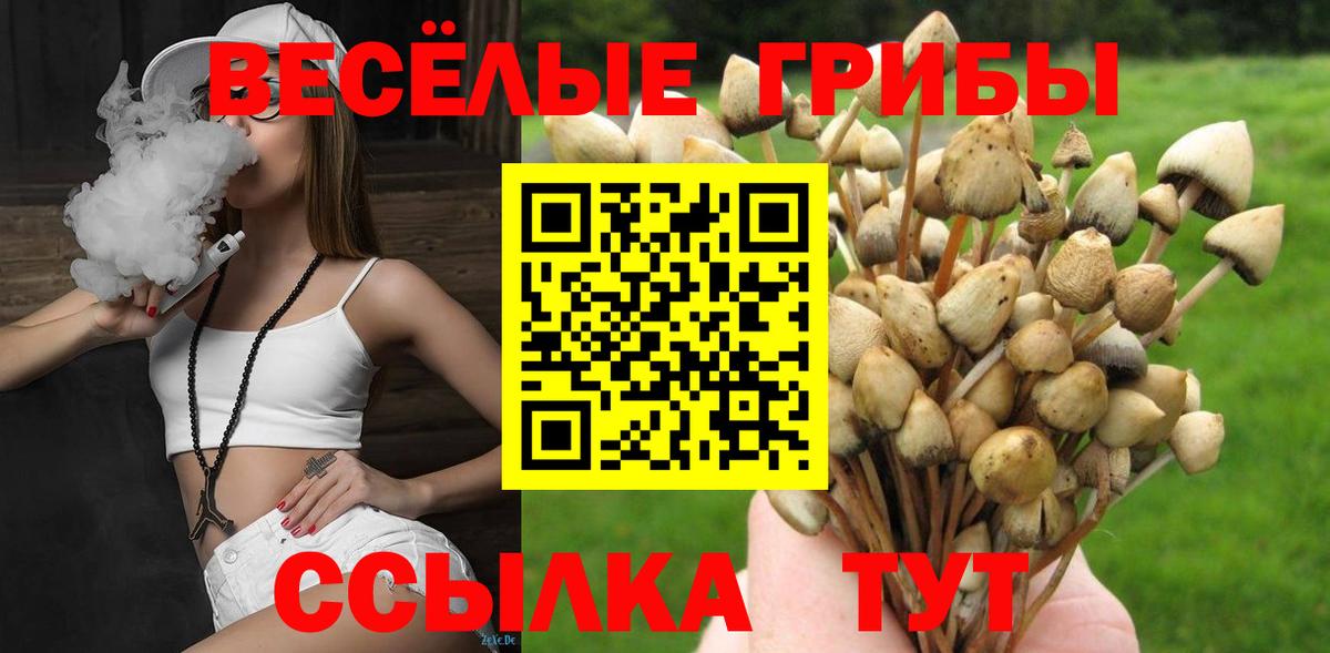 Псилоцибиновые грибы ЛСД Златоуст