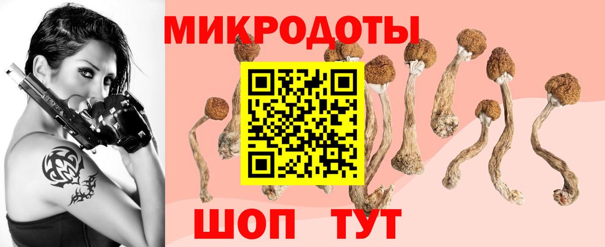 Галлюциногенные грибы мицелий  Псилоцибиновые грибы Psilocybe  Златоуст  Вход с VPN 